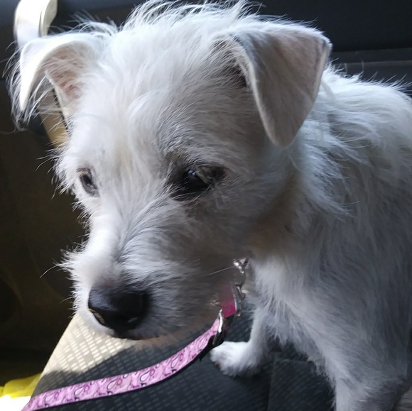 Meet your Posher, Angela - Picture 1 of 1